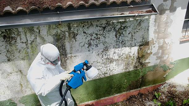 Top rated local Mold Inspection And Testing specialists in LaFayette, GA